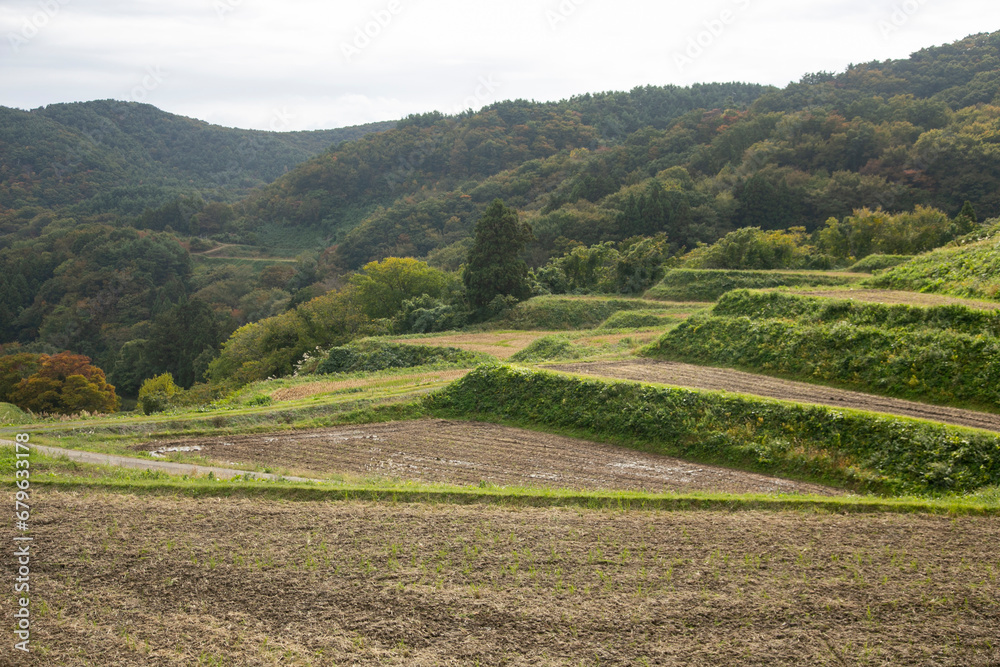 Rice terraces in Iwakubi, Sado Island, Niigata prefecture. Rice terraces in Iwakubi, Sado Island, Niigata prefecture.
