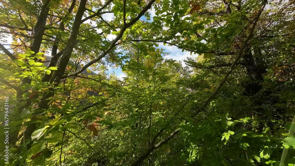 .The fpv drone flies down into the mountain over the autumn-colored trees. .The fpv drone flies down into the mountain over the autumn-colored trees.