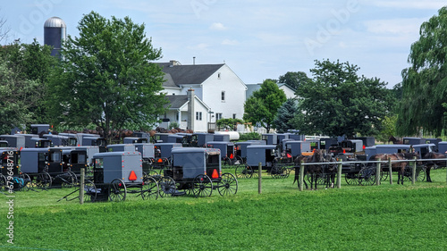 A Large Group of Amish Horse and Buggies for an Event, in Lancaster, Pennsylvania on a Sunny Summer Day