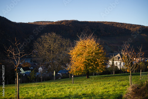 Filsen, November 2023 photo