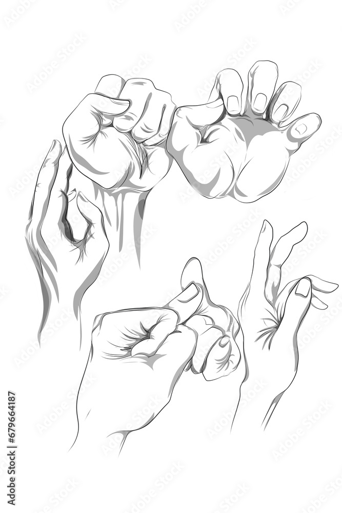 several sketches of palm gestures on a white background several sketches of palm gestures on a white background