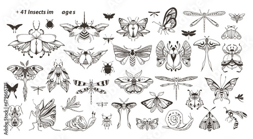 Mystical celestial moth, bug, beetle, dragonfly, butterfly, snail clip art bundle, magic black and white insects silhouettes in vector, hand drawn entomology isolated elements set