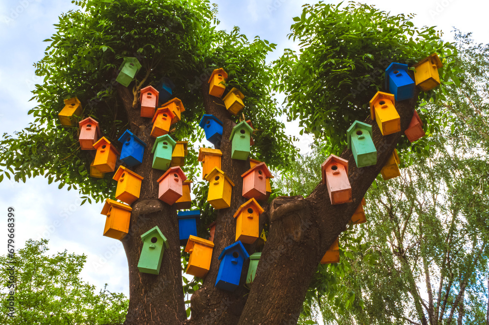 Color nesting boxes on a tree. colored nesting boxes. A lot of colorful birdhouses