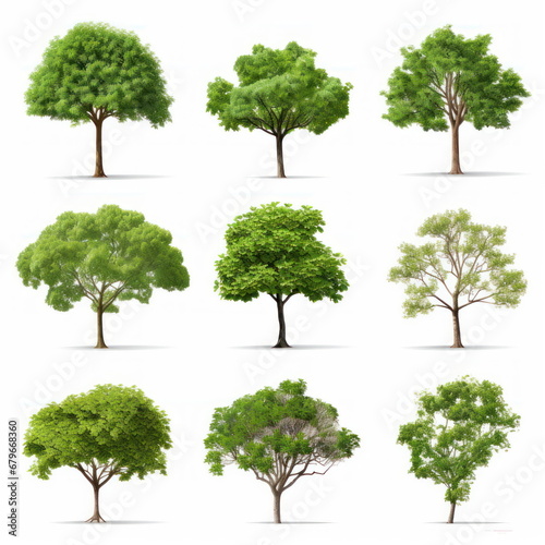 Collection of tree on white background
