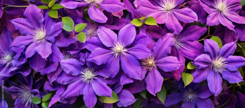 A Beautiful Bouquet of Vibrant Purple Flowers With Lush Green Leaves Created With Generative AI Technology