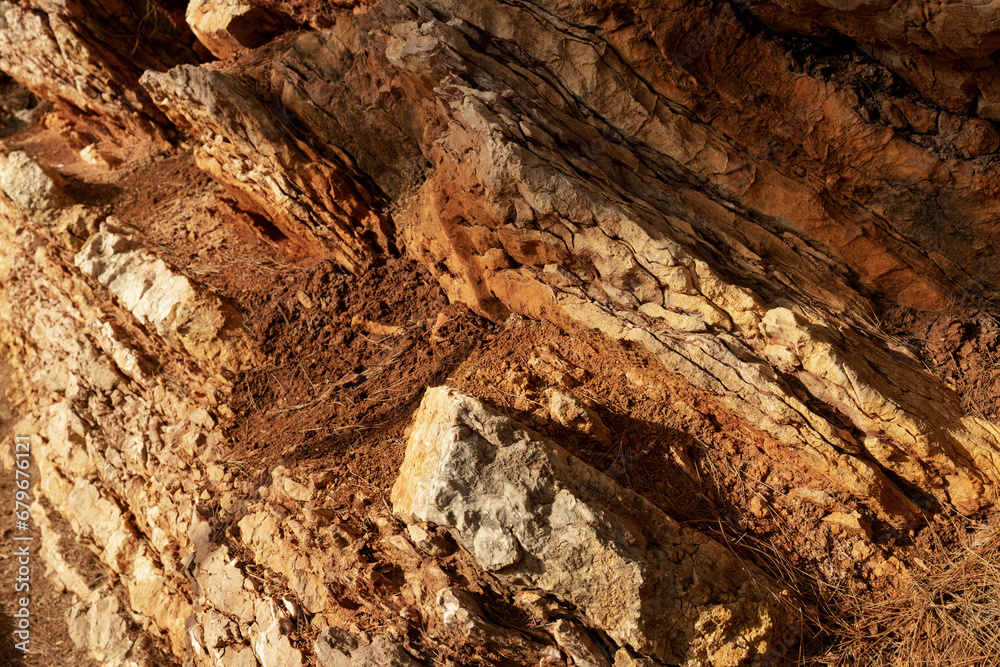 Exposure of obliquely layered rocks, weathering with scree and plant roots Exposure of obliquely layered rocks, weathering with scree and plant roots
