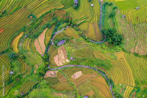 Vietnamese terrace ricefield aerial view © Stéphane Bidouze
