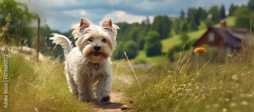 A Serene Stroll Through the Countryside Created With Generative AI Technology