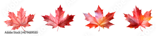 Collection of autumn leaves isolated on transparent background, Generative AI