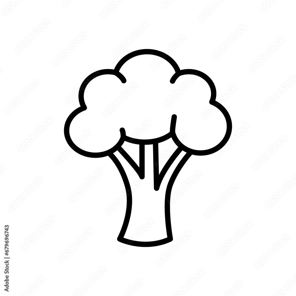 Broccoli icon. Simple outline style. Vegetable, plant, healthy, natural, organic, diet, fresh, food concept. Thin line symbol. Vector illustration isolated on white background. Broccoli icon. Simple outline style. Vegetable, plant, healthy, natural, organic, diet, fresh, food concept. Thin line symbol. Vector illustration isolated on white background.