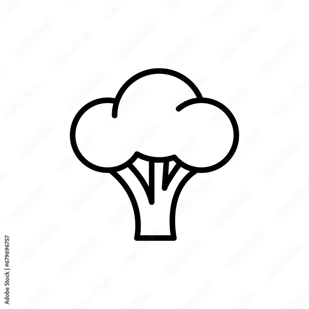 Broccoli icon. Simple outline style. Vegetable, plant, healthy, natural, organic, diet, fresh, food concept. Thin line symbol. Vector illustration isolated on white background. Broccoli icon. Simple outline style. Vegetable, plant, healthy, natural, organic, diet, fresh, food concept. Thin line symbol. Vector illustration isolated on white background.