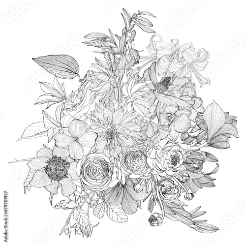 Floral bouquets with line hand drawn herbs, garden flowers and insects in sketch style.