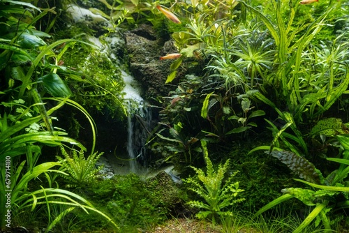 sandfall aquascape  freshwater Amano style planted lava stone iwagumi aquadesign  vivid colors of bright LED light  aquatic plants professional care  blurred background  explore and research concept