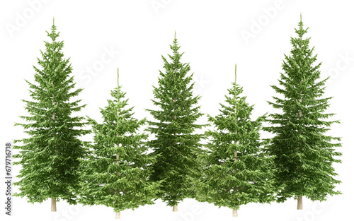 tree, christmas, winter, snow, fir, forest, pine, 