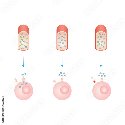 Diabetes Mellitus (Type 1 and Type 2 Diabetes) Scientific Design. Vector Illustration.