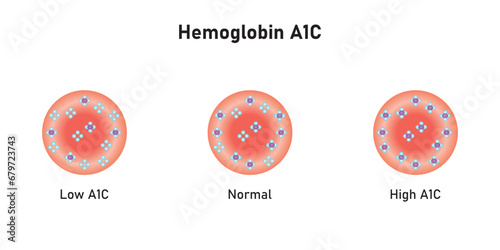 Hemoglobin A1c  Levels Scientific Design. Vector Illustration.