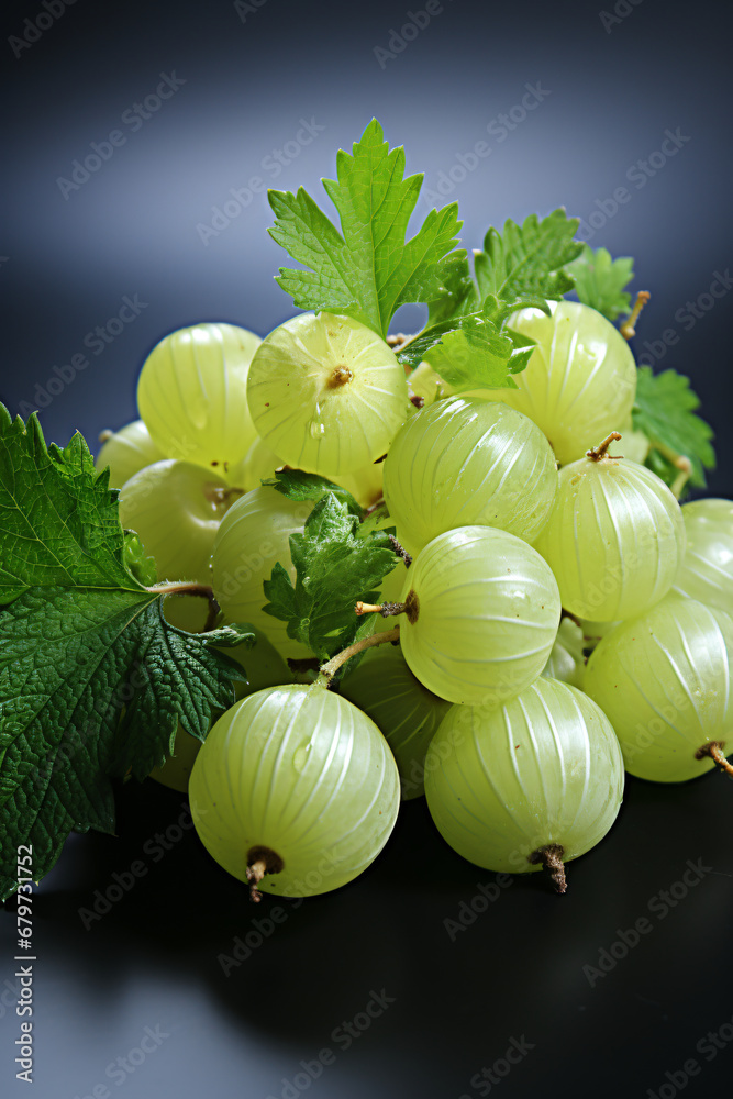 Portrait of gooseberry. Ideal for your designs, banners or advertising graphics. Portrait of gooseberry. Ideal for your designs, banners or advertising graphics.