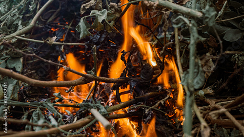 burning dry twigs 