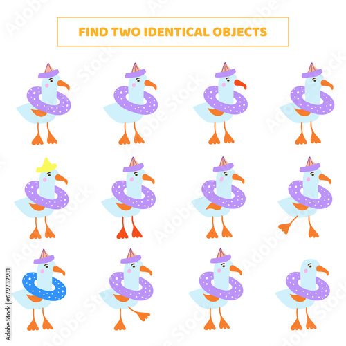 png find two identical objects. Matching game with cartoon seagulls.