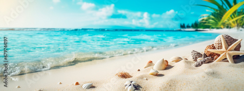 Beach palms and sea shells on the sand. Generative AI, photo