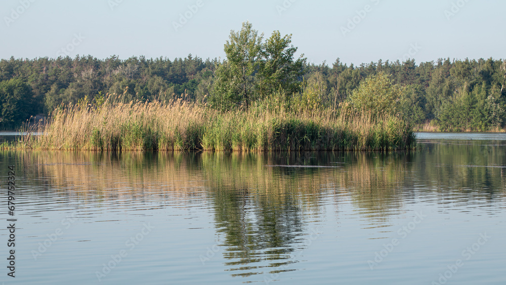 Sunny river with mirror reflection of reeds and trees on water surface, scenic wild nature Sunny river with mirror reflection of reeds and trees on water surface, scenic wild nature