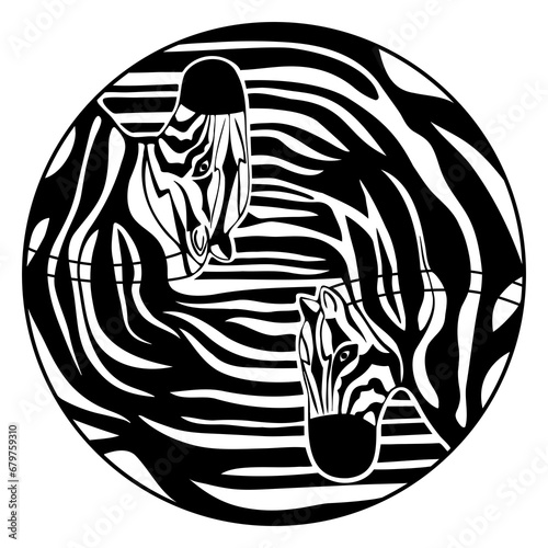 Two heads of zebras in a circle