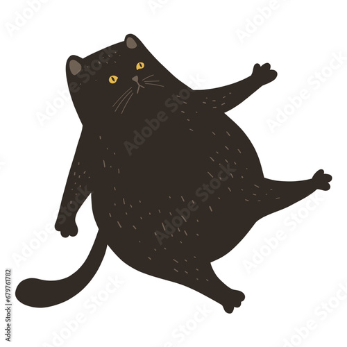 Funny Fat Black Cat