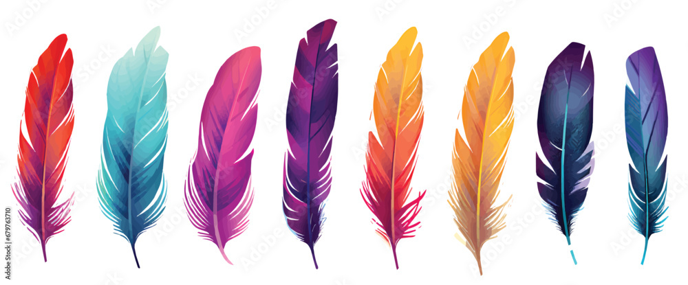 colorful feathers isolated on white - obrazy, fototapety, plakaty 