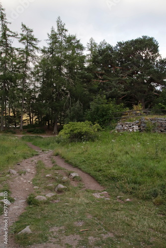 Loch an Eilein, Rothiemurchus scotland photo