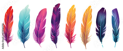 colorful feathers isolated on white