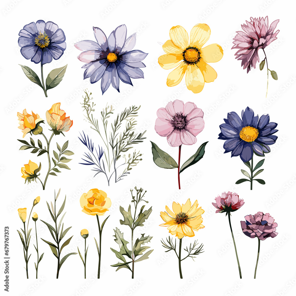 Set of wild field flowers clipart, isolated on white background. Set of wild field flowers clipart, isolated on white background.