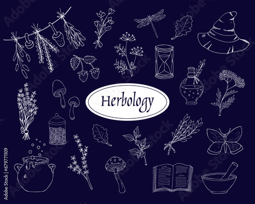 Hand-drawn herbology elements set. Green witch elements doodles. Green witch aesthetic. Elements for fairy witchcraft design. Isolated on blue background.