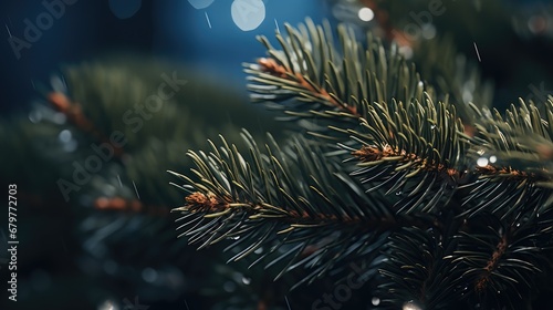  a close up of a pine tree branch with drops of water on the needles and blurry lights in the background.