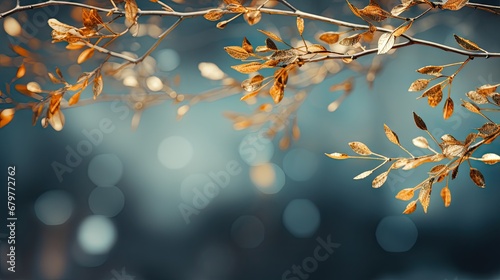  a close up of a tree branch with lots of leaves in the foreground and a blue sky in the background.