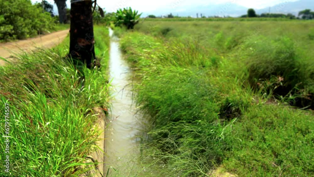 Acequia en campos de cultivo de espárragos en Perú