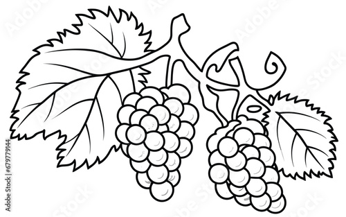 colouring sheet for kids with grapes vector illustration