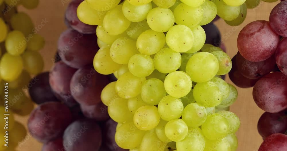 Multi-colored bunches of grapes on a background of burlap.