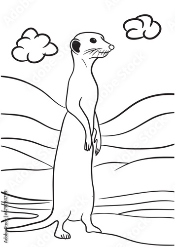 Coloring bookfor kid with stading ferret as object model illustration