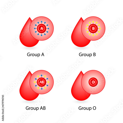 ABO Blood groups. four blood types, A,B, AB and O groups, made up from combinations of the type A and type B antigens. Blood donation. Vector illustration.