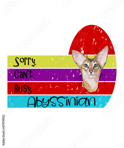 Abyssinian cat sorry cant busy graphic illustration in a grunge vintage retro style on white background, for this pet animal feline cat breed. (ID: 679799132)