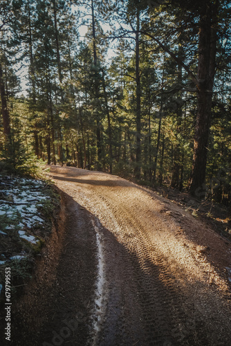 ATV trail through Pike national Forest in Sedalia Colorado with patch of sunlight