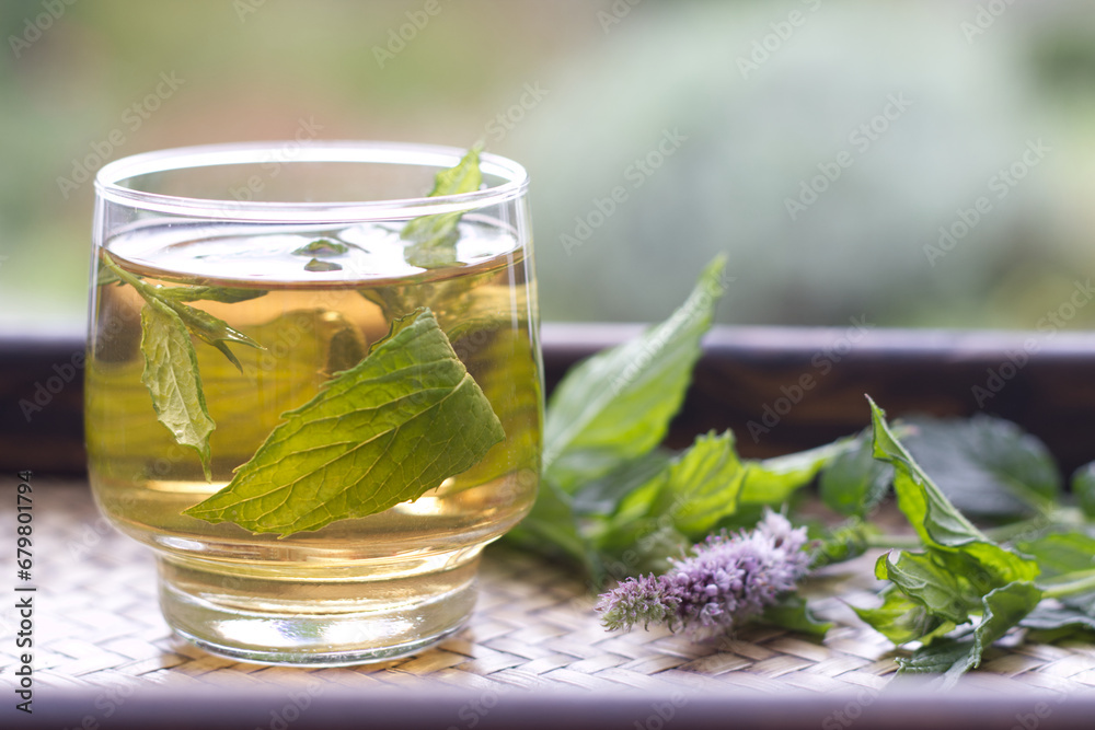 Herbal Mint Tea. Spearmint Tea in a clear glass on a bamboo tray serving with fresh mint leaves and flower in the morning sunrise. Healthy food concept Herbal Tea. Herbal Mint Tea. Spearmint Tea in a clear glass on a bamboo tray serving with fresh mint leaves and flower in the morning sunrise. Healthy food concept Herbal Tea.