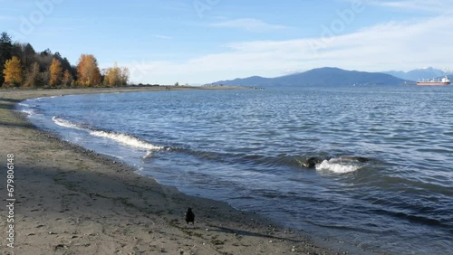 Jericho Beach during a fall season in Vancouver, British Columbia, Canada photo