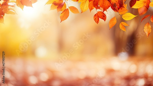 Colorful universal natural panoramic autumn background for design with orange leaves and blurred background © Creative Canvas