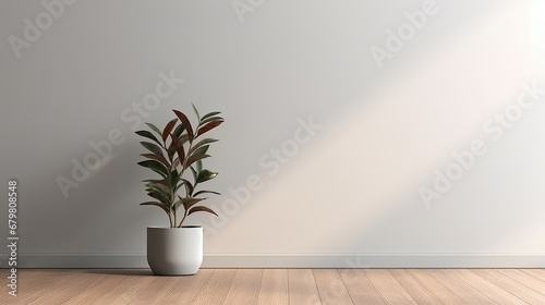 Light gray wall and and a wooden floor with a potted plant with interesting light glare