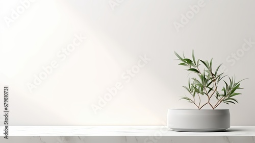 White empty shelf with a flower on a light gray wall 