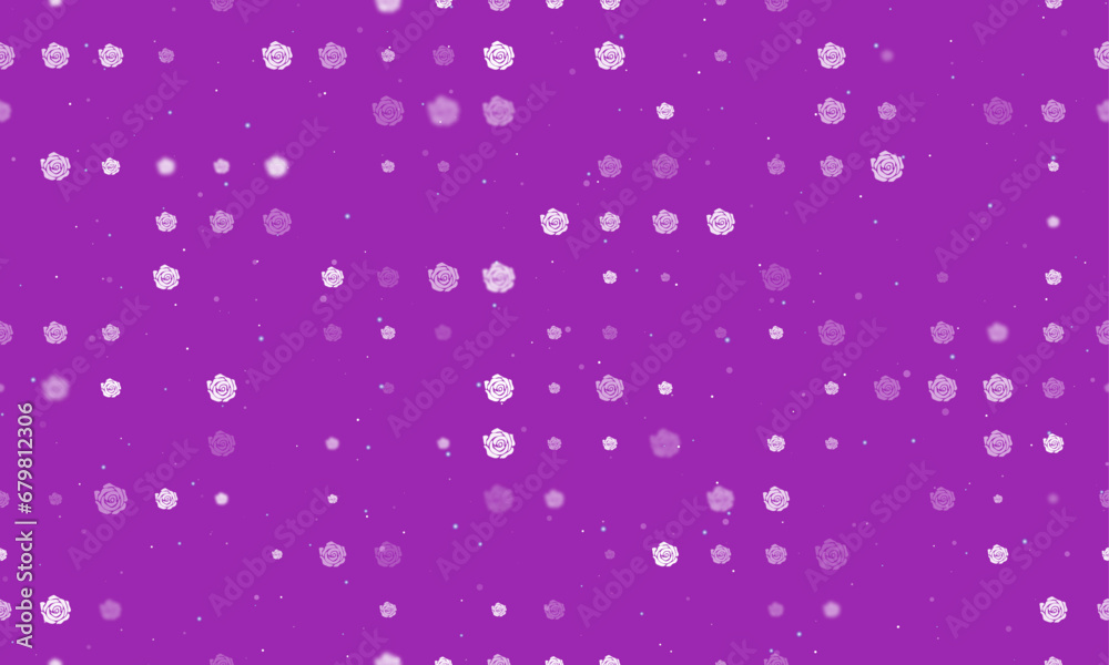 Seamless background pattern of evenly spaced white roses of different sizes and opacity. Vector illustration on purple background with stars