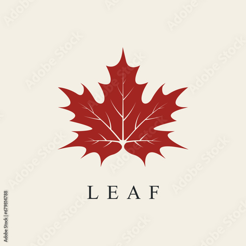 maple leaf line art logo design vector. photo