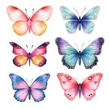 set colorful butterflies of watercolors on white background