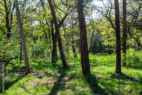 wilde Wuhlheide, Berlin